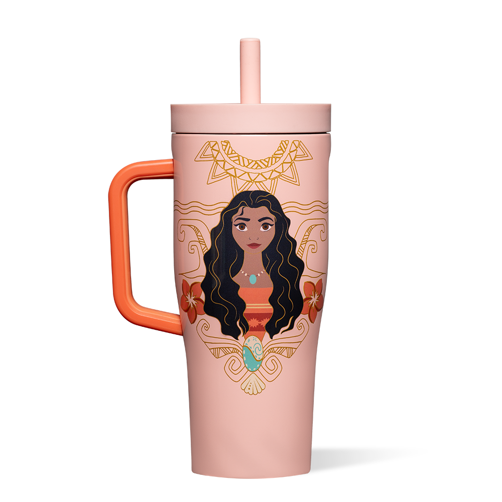 disney-princess-leakproof-cruiser-b1 DIS2222DP-M-01.png