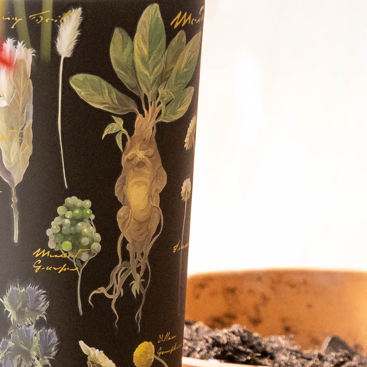 harry-potter-cold-cup-r8 Herbology-3.jpg