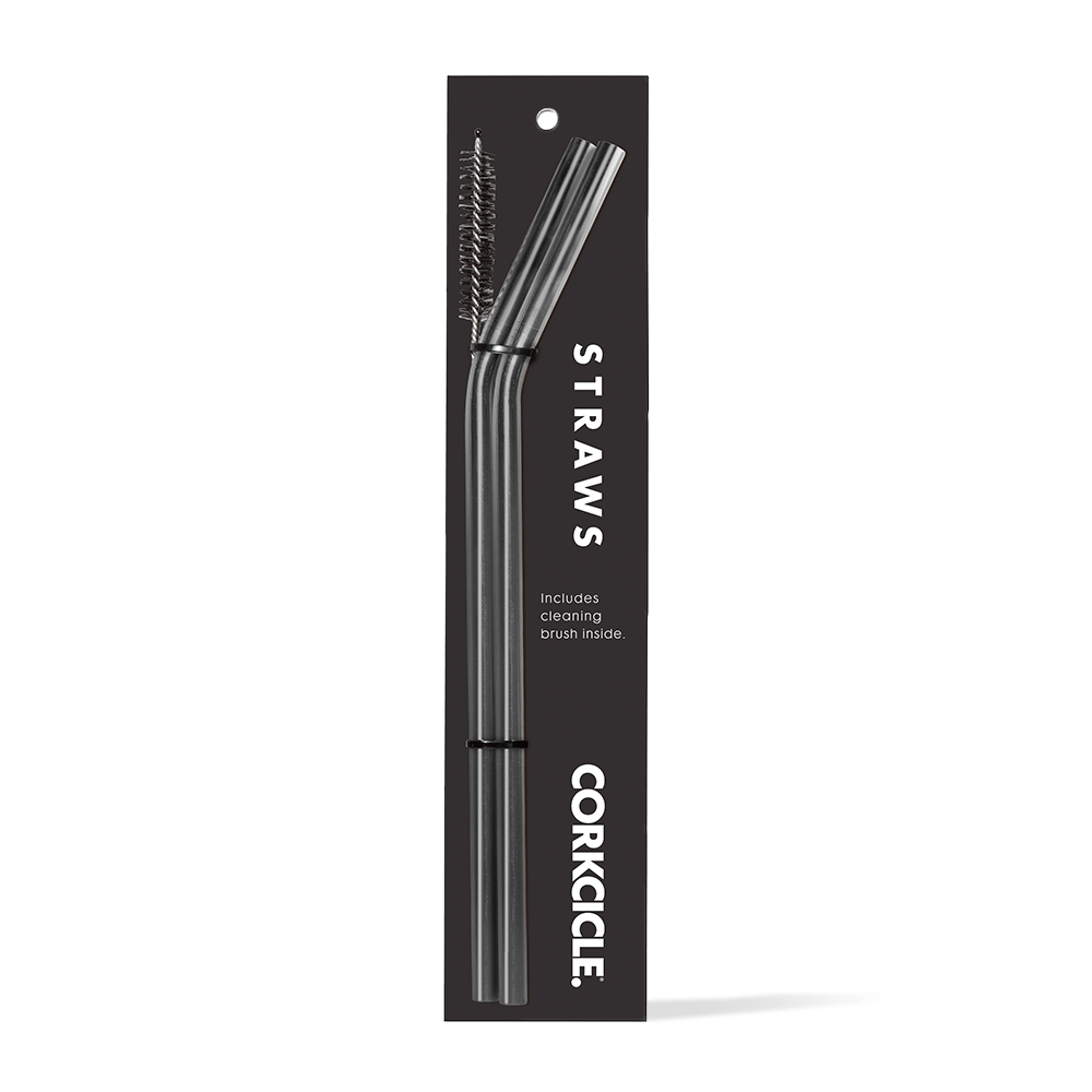 tumbler-straw-2-pack-q9 gunmetal.png
